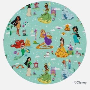 🌲Little Sleepies Disney Princess Dreams Crescent Zippy NIB